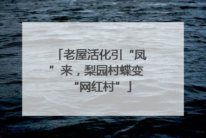 老屋活化引“凤”来，梨园村蝶变“网红村”