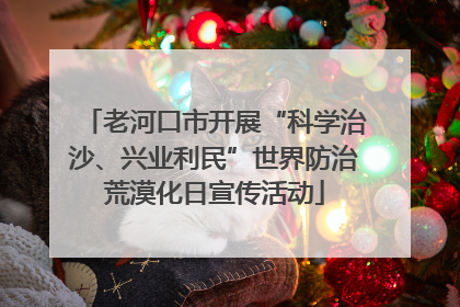 老河口市开展“科学治沙、兴业利民”世界防治荒漠化日宣传活动
