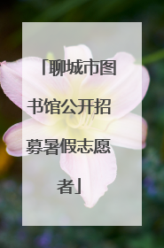 聊城市图书馆公开招募暑假志愿者