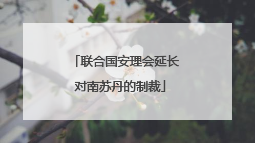 联合国安理会延长对南苏丹的制裁