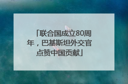 联合国成立80周年，巴基斯坦外交官点赞中国贡献