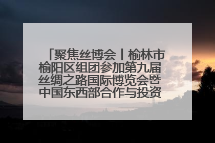聚焦丝博会丨榆林市榆阳区组团参加第九届丝绸之路国际博览会暨中国东西部合作与投资贸易洽谈会