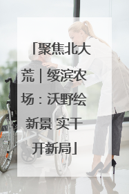 聚焦北大荒｜绥滨农场：沃野绘新景 实干开新局