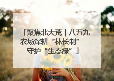 聚焦北大荒｜八五九农场深耕“林长制” 守护“生态绿”