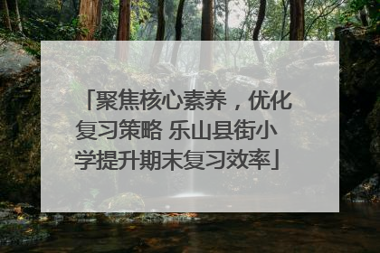 聚焦核心素养，优化复习策略 乐山县街小学提升期末复习效率
