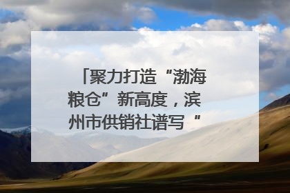 聚力打造“渤海粮仓”新高度，滨州市供销社谱写“三夏”丰收乐章