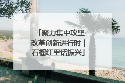 聚力集中攻坚·改革创新进行时｜石榴红里话振兴