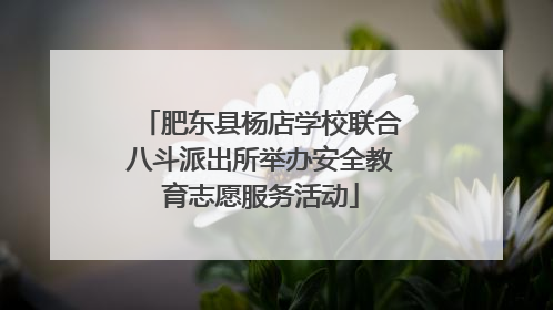 肥东县杨店学校联合八斗派出所举办安全教育志愿服务活动