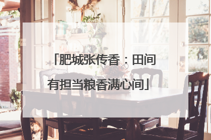 肥城张传香：田间有担当粮香满心间