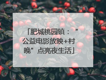 肥城桃园镇：“公益电影放映+村晚”点亮夜生活
