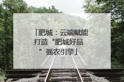 肥城：云端赋能 打造“肥城好品”强农引擎