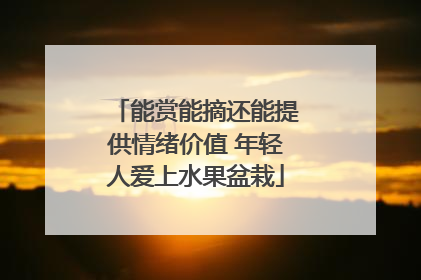能赏能摘还能提供情绪价值 年轻人爱上水果盆栽