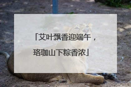 艾叶飘香迎端午，珞珈山下粽香浓