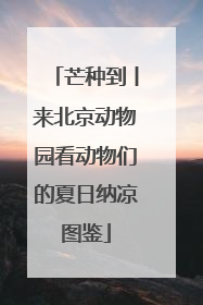 芒种到丨来北京动物园看动物们的夏日纳凉图鉴
