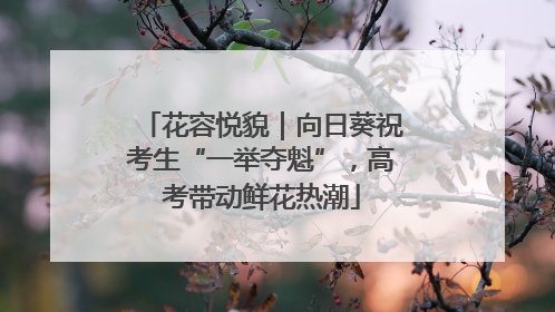 花容悦貌｜向日葵祝考生“一举夺魁”，高考带动鲜花热潮