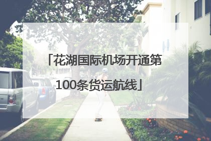 花湖国际机场开通第100条货运航线