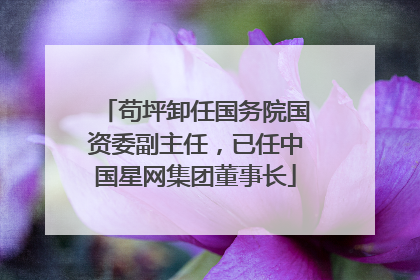 苟坪卸任国务院国资委副主任，已任中国星网集团董事长