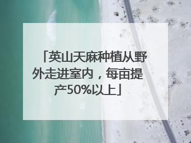 英山天麻种植从野外走进室内，每亩提产50%以上