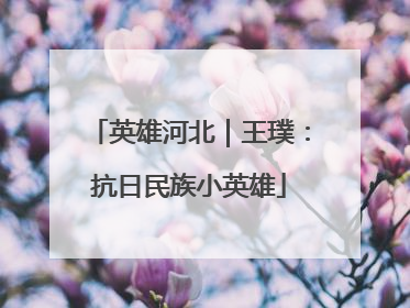 英雄河北｜王璞：抗日民族小英雄