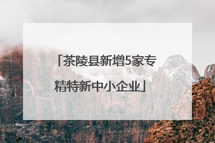 茶陵县新增5家专精特新中小企业