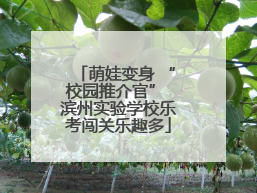 萌娃变身 “校园推介官” 滨州实验学校乐考闯关乐趣多
