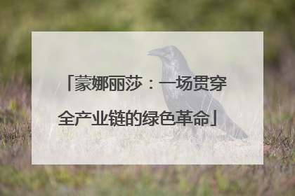 蒙娜丽莎：一场贯穿全产业链的绿色革命