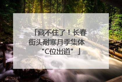 藏不住了！长春街头耐寒月季集体“C位出道”