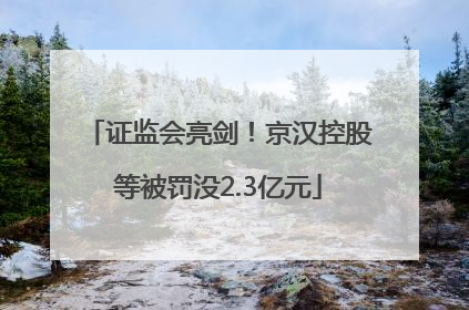 证监会亮剑！京汉控股等被罚没2.3亿元