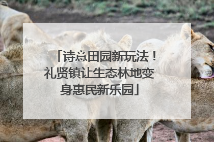 诗意田园新玩法！礼贤镇让生态林地变身惠民新乐园