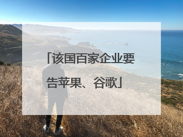 该国百家企业要告苹果、谷歌