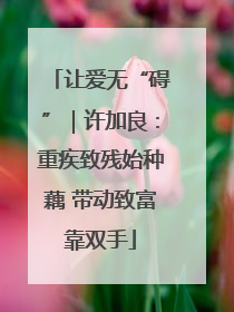 让爱无“碍”｜许加良：重疾致残始种藕 带动致富靠双手