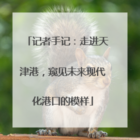 记者手记：走进天津港，窥见未来现代化港口的模样
