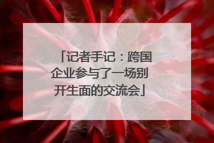记者手记：跨国企业参与了一场别开生面的交流会