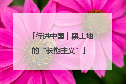 行进中国｜黑土地的“长期主义”