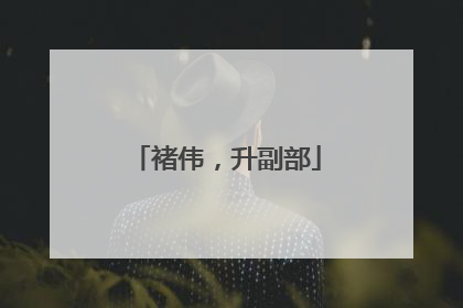 褚伟，升副部