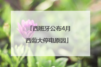 西班牙公布4月西葡大停电原因