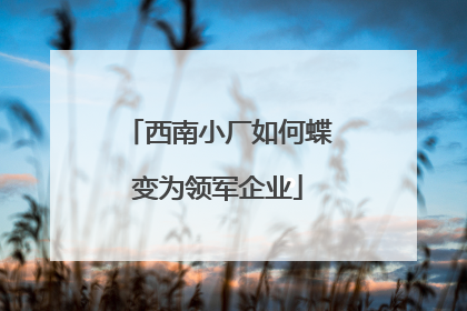 西南小厂如何蝶变为领军企业