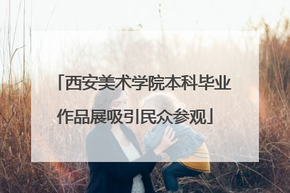 西安美术学院本科毕业作品展吸引民众参观