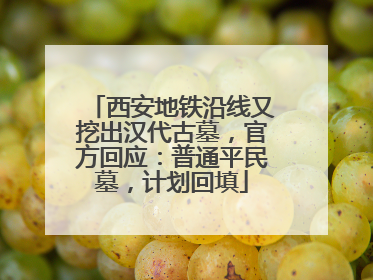 西安地铁沿线又挖出汉代古墓，官方回应：普通平民墓，计划回填