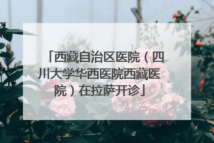 西藏自治区医院（四川大学华西医院西藏医院）在拉萨开诊