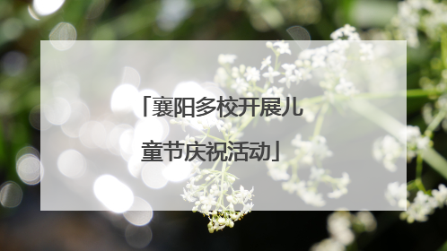 襄阳多校开展儿童节庆祝活动