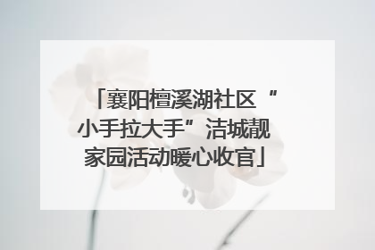 襄阳檀溪湖社区“小手拉大手”洁城靓家园活动暖心收官