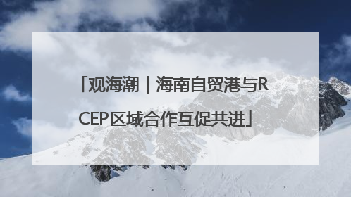 观海潮｜海南自贸港与RCEP区域合作互促共进
