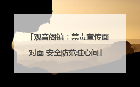 观音阁镇：禁毒宣传面对面 安全防范驻心间