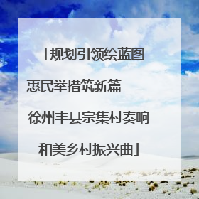 规划引领绘蓝图 惠民举措筑新篇——徐州丰县宗集村奏响和美乡村振兴曲