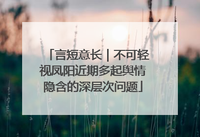 言短意长｜不可轻视凤阳近期多起舆情隐含的深层次问题