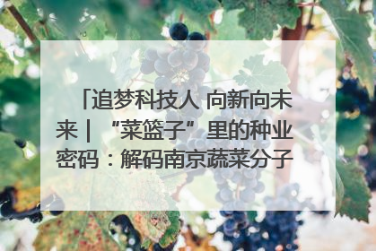 追梦科技人 向新向未来｜“菜篮子”里的种业密码：解码南京蔬菜分子育种的创新之路