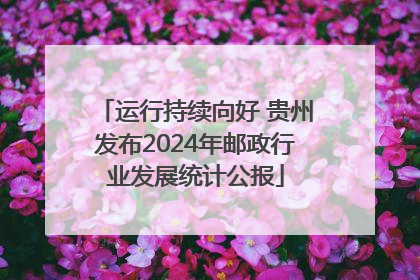 运行持续向好 贵州发布2024年邮政行业发展统计公报