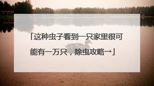 这种虫子看到一只家里很可能有一万只，除虫攻略→