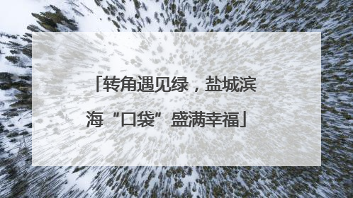 转角遇见绿，盐城滨海“口袋”盛满幸福